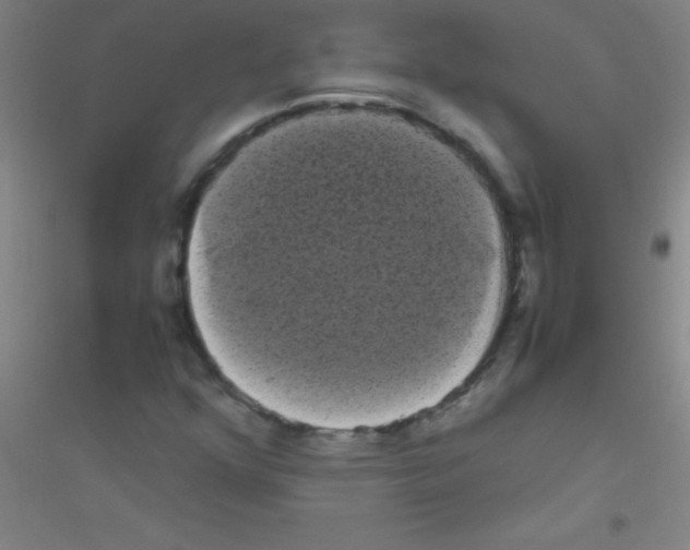 X0000116841352201001291656