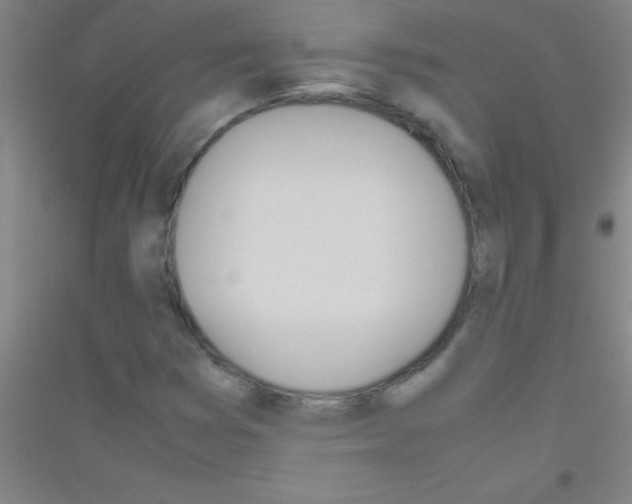 X0000116841353201001291656
