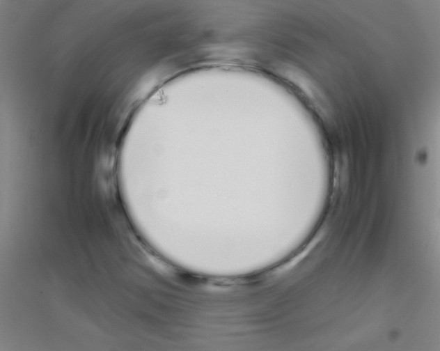 X0000116841354201001291656