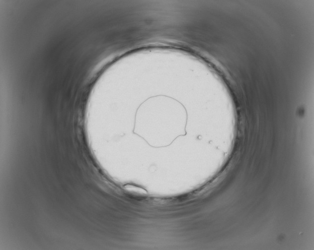 X0000116841355201001291656