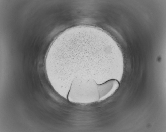 X0000116841356201001291656