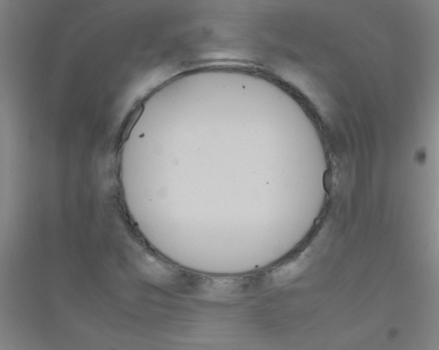 X0000116841357201001291656
