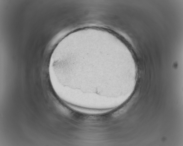 X0000116841359201001291656