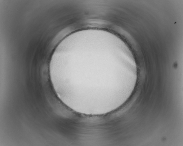 X0000116841362201001291656