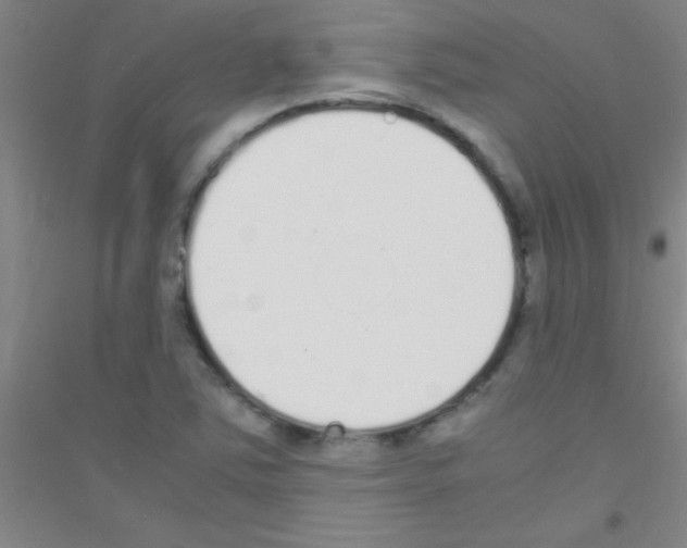 X0000116841363201001291656