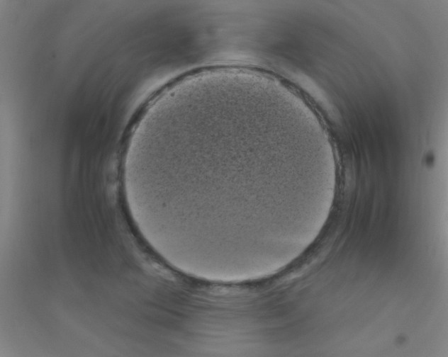X0000116841364201001291656