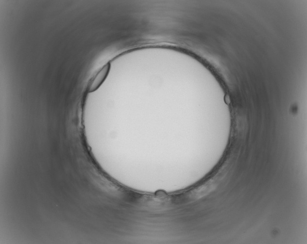X0000116841365201001291656