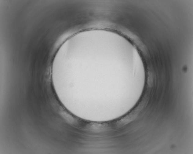 X0000116841366201001291656