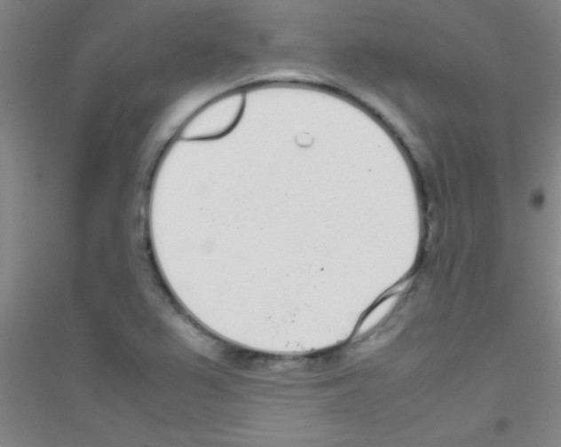 X0000116841367201001291656
