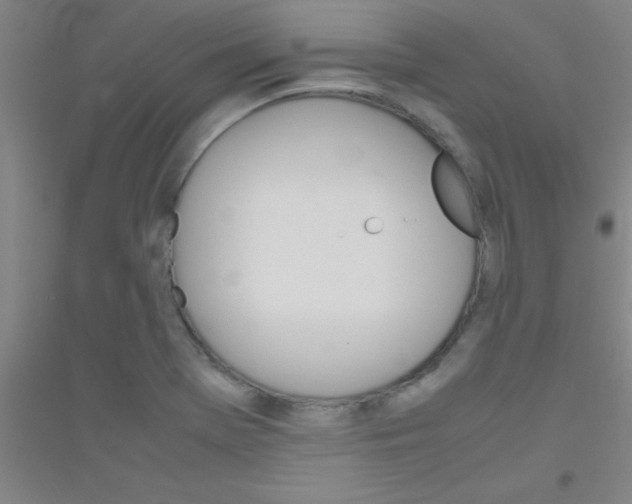 X0000116841369201001291656