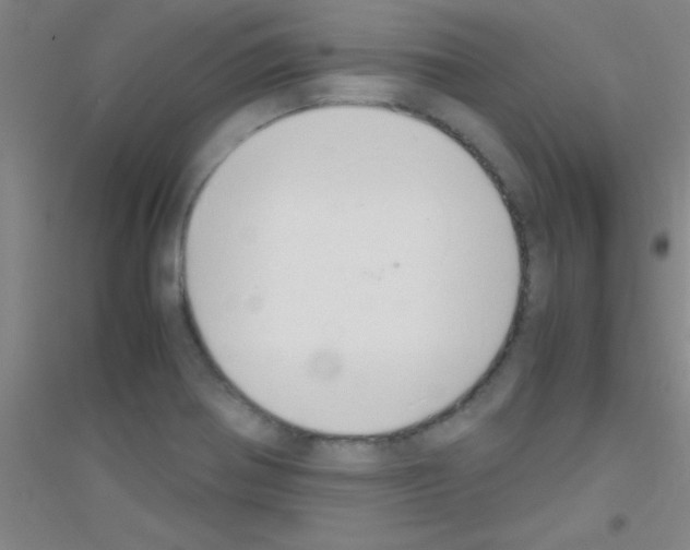 X0000116841370201001291655