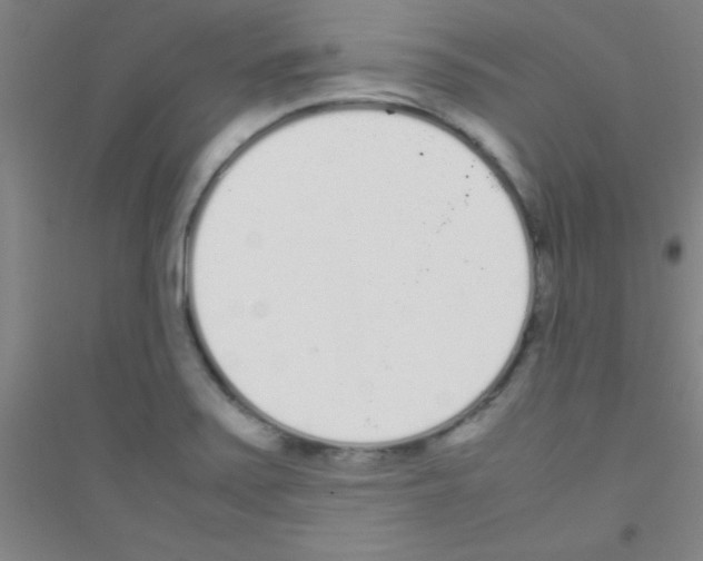 X0000116841371201001291655