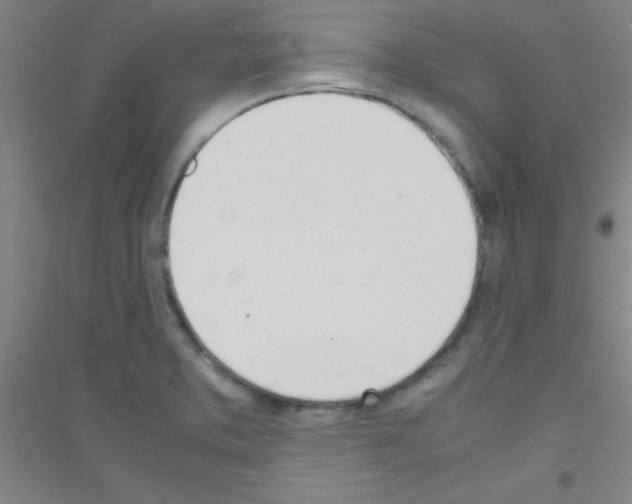 X0000116841373201001291655