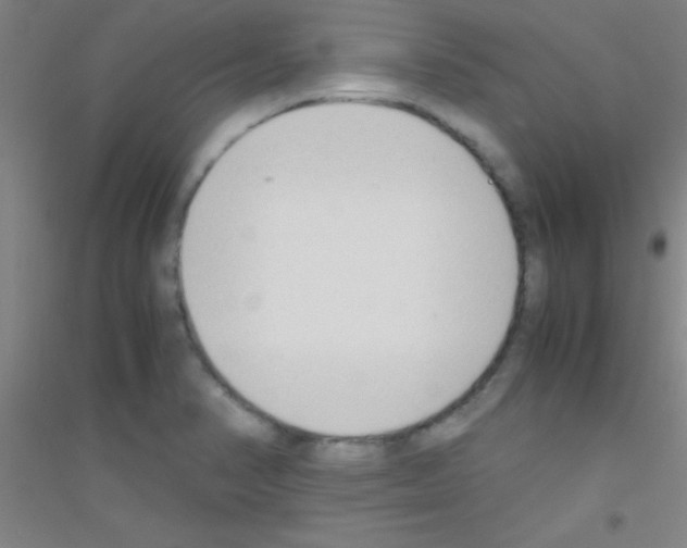 X0000116841374201001291655