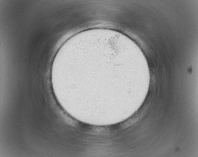X0000116841375201001291655