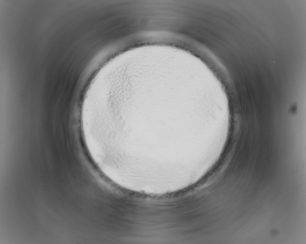 X0000116841376201001291655