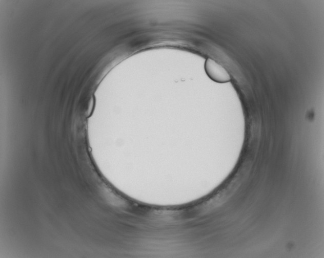 X0000116841377201001291655