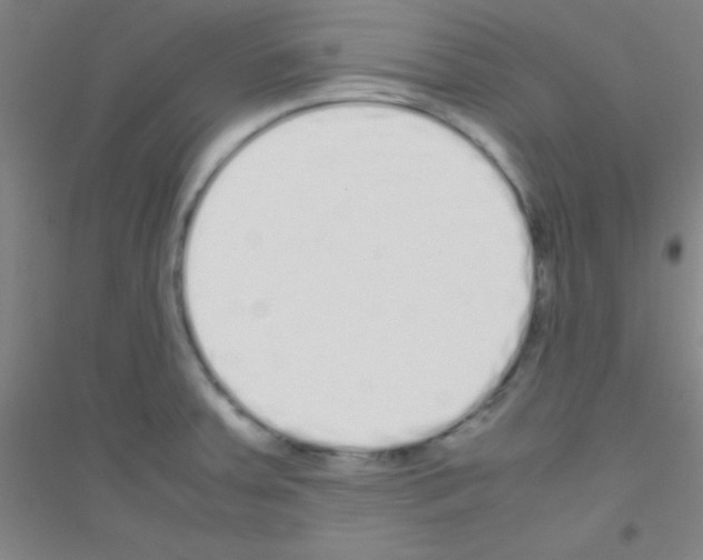 X0000116841379201001291655