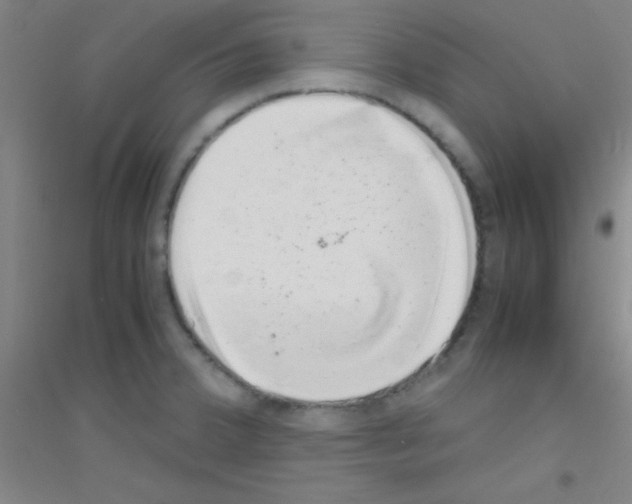 X0000116841380201001291655