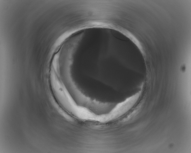 X0000116841381201001291655
