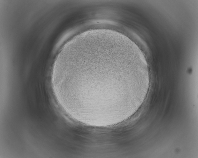X0000116841384201001291655