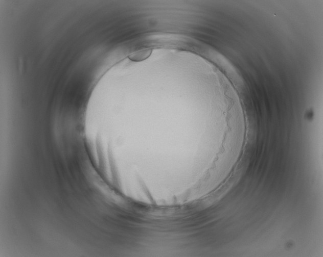 X0000116841386201001291655