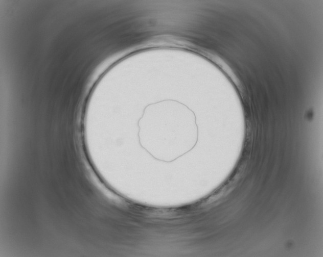 X0000116841387201001291655