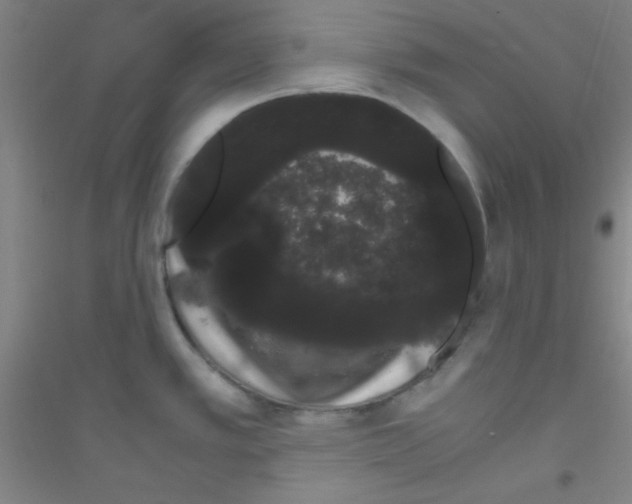 X0000116841389201001291655