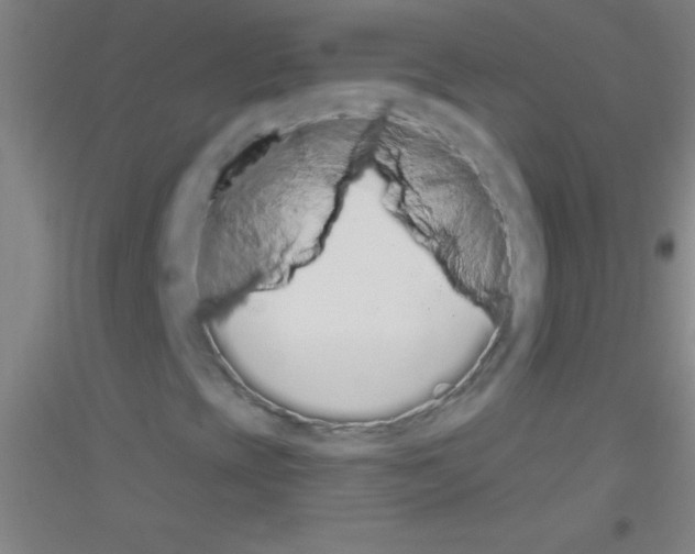 X0000116841393201001291655