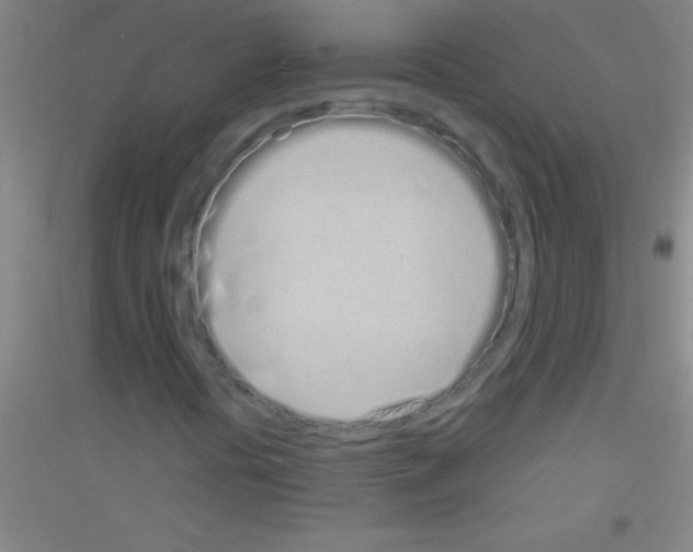 X0000116841394201001291655