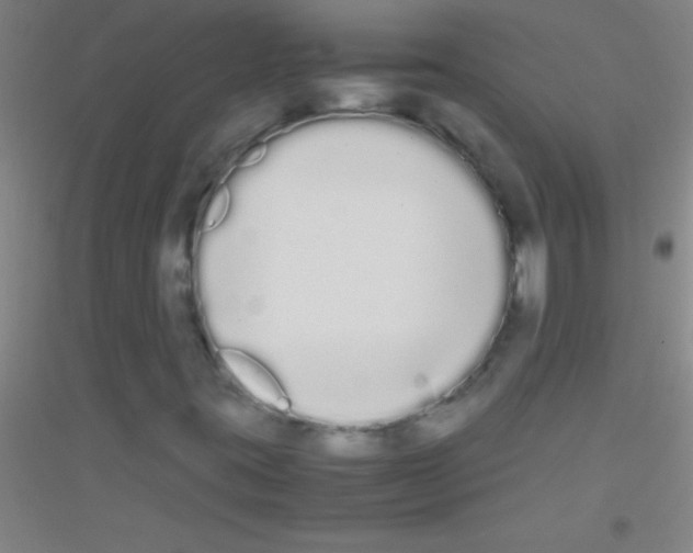X0000116841395201001291655