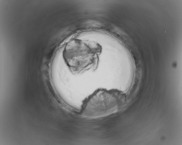 X0000116841397201001291655