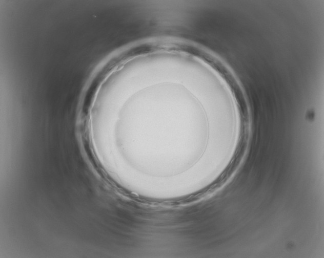 X0000116841398201001291655