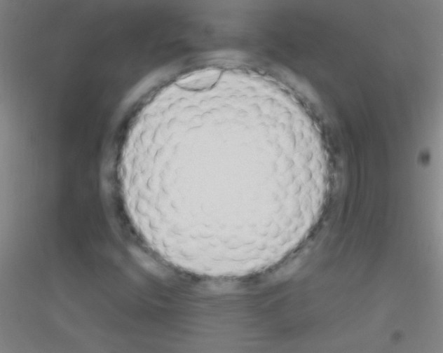 X0000116841400201001291655