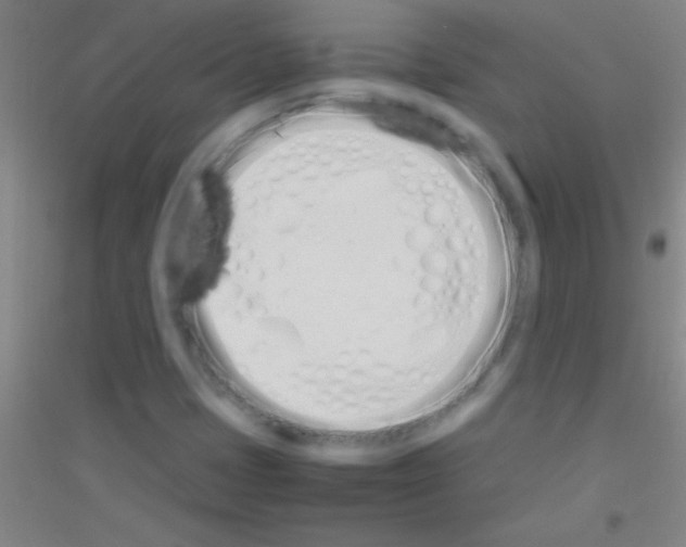 X0000116841401201001291655