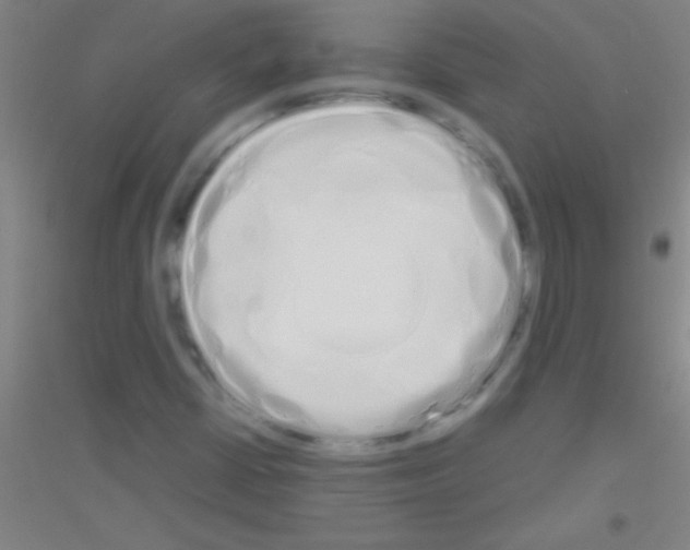 X0000116841402201001291655