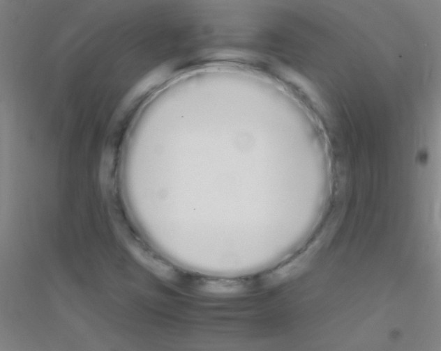 X0000116841403201001291655
