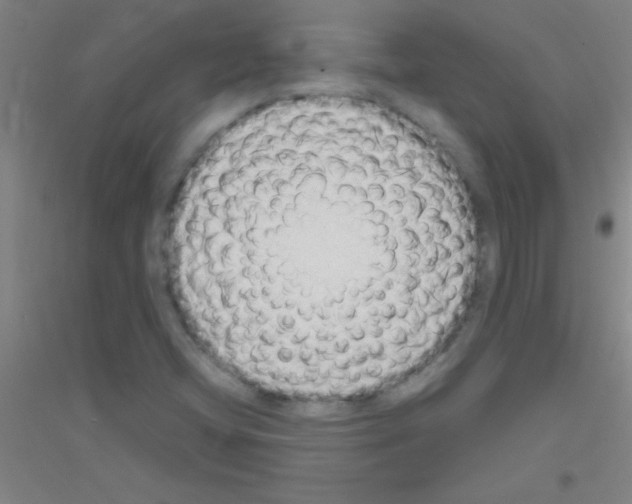 X0000116841404201001291655