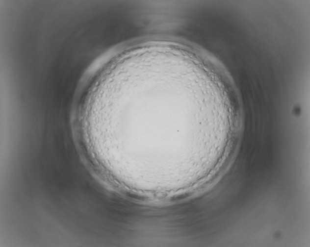 X0000116841406201001291655