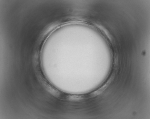 X0000116841407201001291655