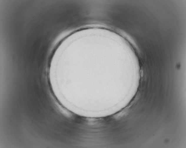 X0000116841408201001291655