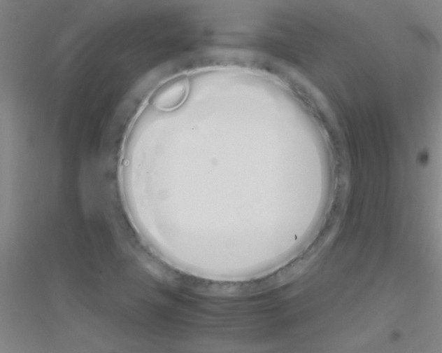 X0000116841411201001291655