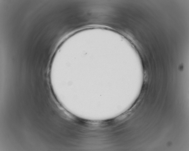 X0000116841412201001291655