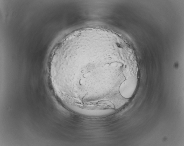 X0000116841414201001291655