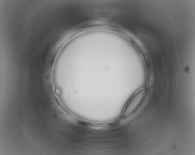 X0000116841415201001291655