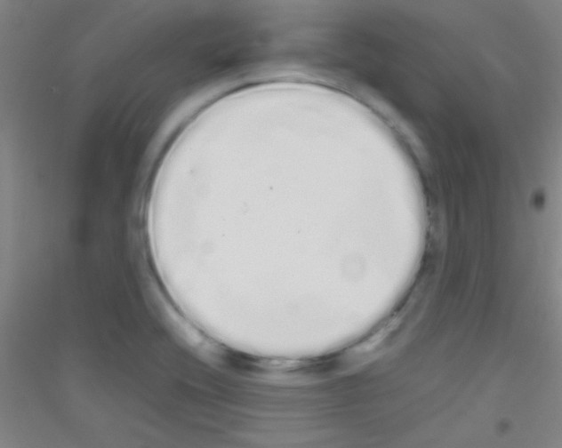 X0000116841416201001291655