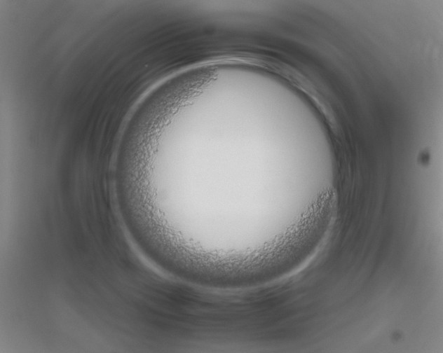 X0000116841417201001291655