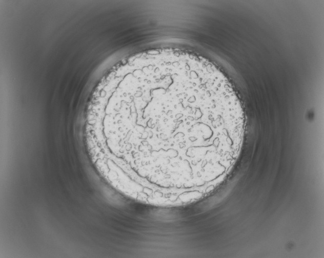 X0000116841418201001291655