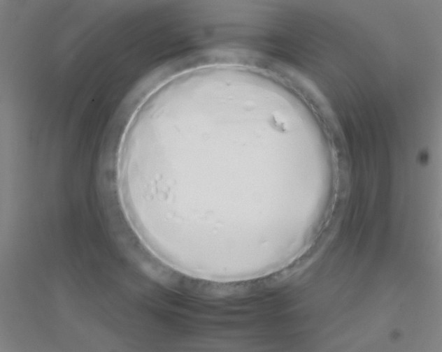 X0000116841419201001291655