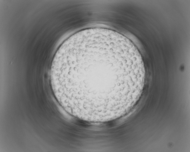 X0000116841420201001291655